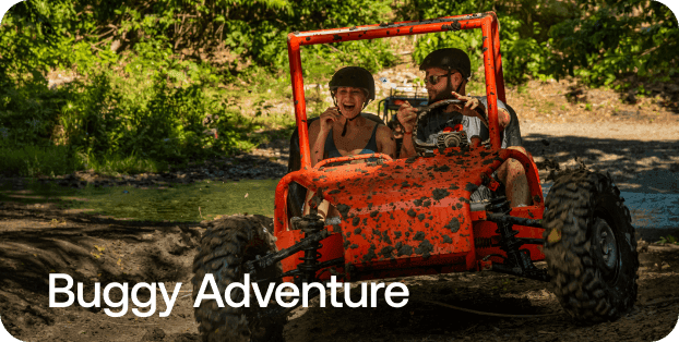 Buggy Adventure